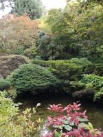 Butchart Gardens