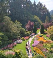 Butchart Gardens