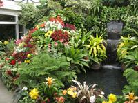 Butchart Gardens