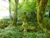 Butcharts Garden