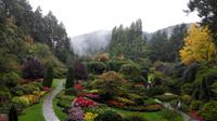 Butchers Garden