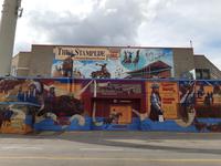 Calgary - Stampede
