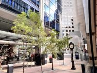 Calgary, Alberta