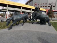 Calgary
