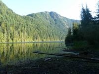 Cathedral Grove