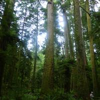 Cathedral Trail