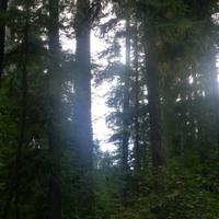 Cathedral Trail