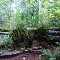 Cathedral Trail