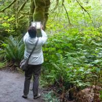 Cathedral Trail