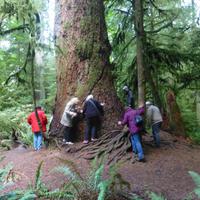 Cathedral Trail