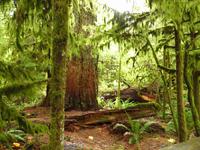 Cathedrale Trail