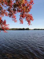 Chateau Montebello