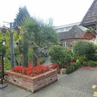 Chemainus