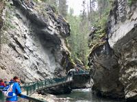 Coucou, bei Johnston Canyon