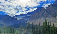 Crowfoot Gletscher am Icefield's Parkway