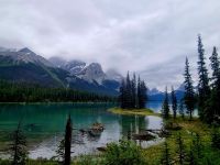 Das Blau des Maligne Lake (19)