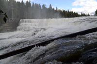 Dawson Falls (4)