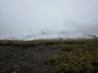 Denali Nationalpark