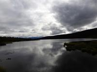 Denali Nationalpark