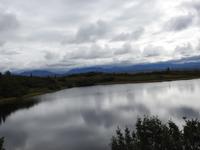 Denali Nationalpark