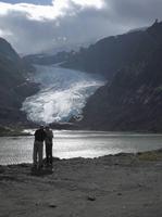 Der Beargletscher
