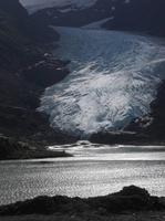 Der Beargletscher