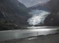 Der Beargletscher