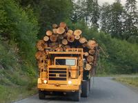 Der Holzlader