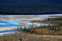 Der Sunwapta Fluss