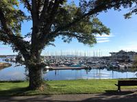 Der Yachthafen in Victoria