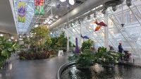 Devonian Gardens im CORE Shopping Center