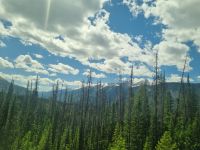 Die Rockies (10)