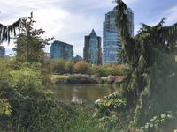 Downtown