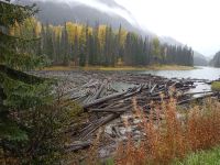 Duffey Lake - British Columbia, Kanada