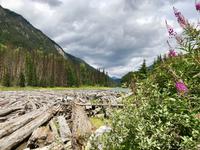 Duffey Lake