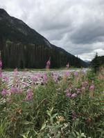 Duffey Lake