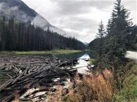 Duffey Lake