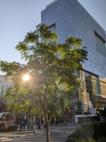 Eindrücke Toronto