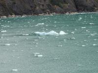 Eis im Fjord