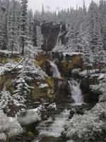 Entlang des Icefield Parkways
