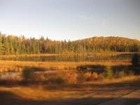 Fahrt durch den Algonquinpark