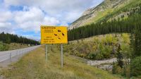 Fahrt durch die Bergregion Kananaskis County