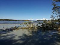 Fahrt nach Anchorage - Mount Denali