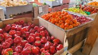 Farmers Market in Vernon
