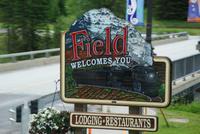 Field (4)