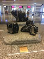 Flughafen Calgery