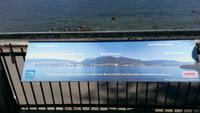 Fotostopp am Stanley Park in Vancouver