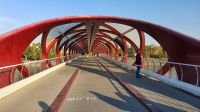 Friedensbrücke am Bow River in Calgary