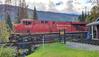 Gerdae fährt ein Zug der Canadian Pacific vorbei - Lokführer winkt
