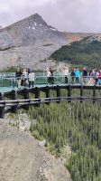 Gläserne Plattform am Athabasca Gletscher 